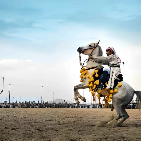 الفرق بين الخيل العربي و الخيل المهجن